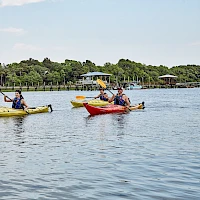 Two people kayak on calm water near a shoreline with docks and trees, paddling in yellow and red boats, sunny day.