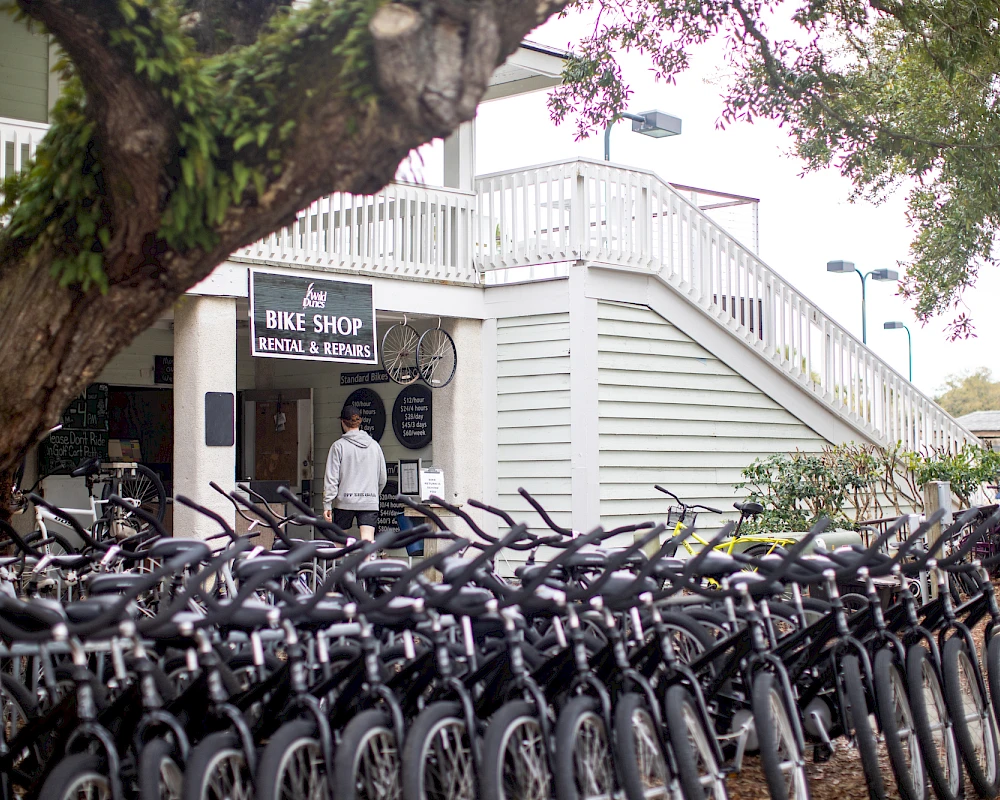 A bike shop with a row of black bicycles parked outside; a person stands near the entrance under a large tree.