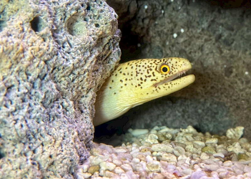 South Carolina Aquarium