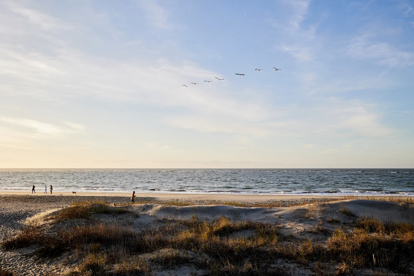 Serene Beach & Nature
