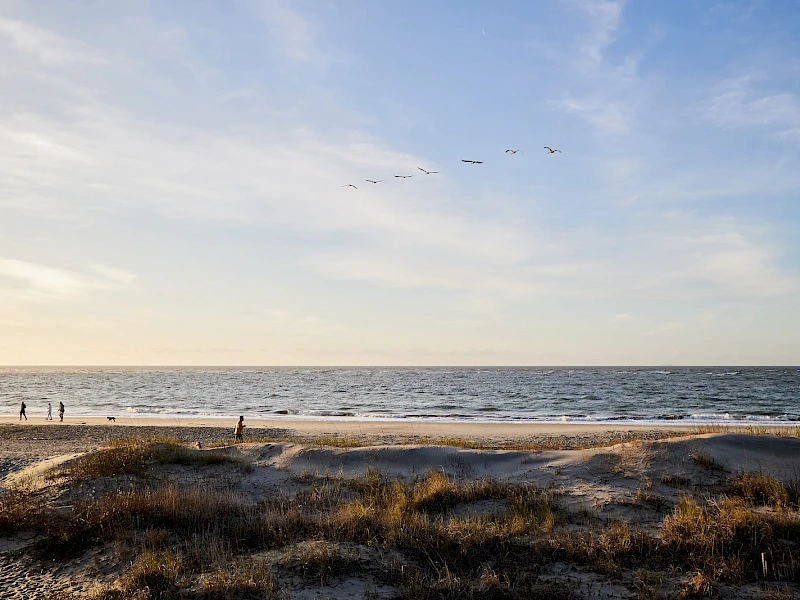 Serene Beach & Nature