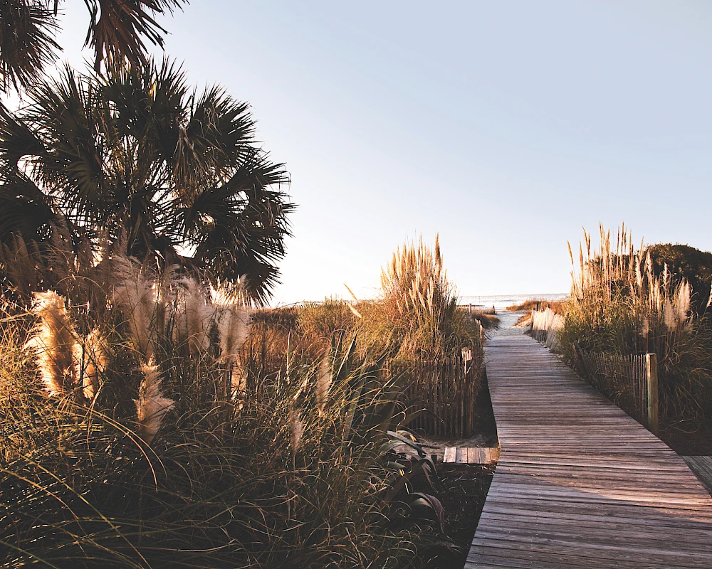A wooden boardwalk winds through beach grass and palm trees toward the horizon, bathed in warm, golden light of a calm coastal scene.
